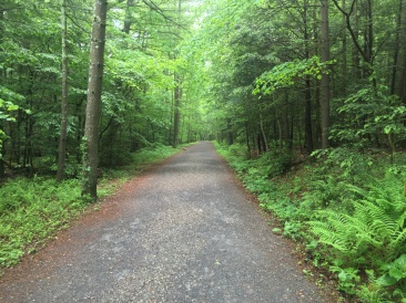 2016-05-30-Appalachian-Trail-278-scenery.JPG