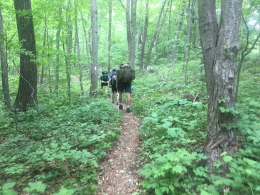 2016-06-11-Appalachian-Trail-331-Garfield-AB-Monster.JPG