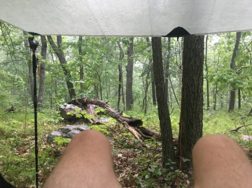 2016-06-11-Appalachian-Trail-334-Hammock.JPG