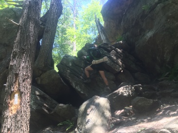2016-06-15-Appalachian-Trail-352-Garfield-after-Lemon-Squeezer.JPG