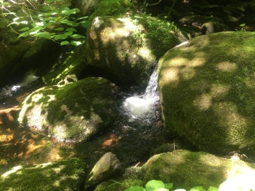 2016-07-03-Appalachian-Trail-423-water-fall-scenery.JPG