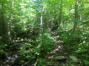 2016-07-03-Appalachian-Trail-424-Neo.JPG