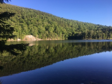 2016-07-04-Appalachian-Trail-430-Little-Rock-Pond.JPG