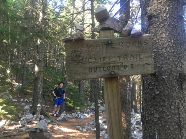 2016-07-04-Appalachian-Trail-432-Neo-White-Rocks-cairnes.JPG