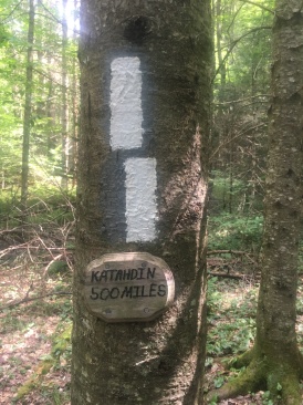 2016-07-05-Appalachian-Trail-440-Only-500-miles-more-to-go.JPG