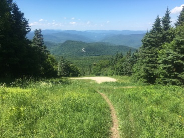 2016-07-05-Appalachian-Trail-442-scenery.JPG