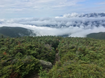 2016-07-17-Appalachian-Trail-485-scenery.JPG