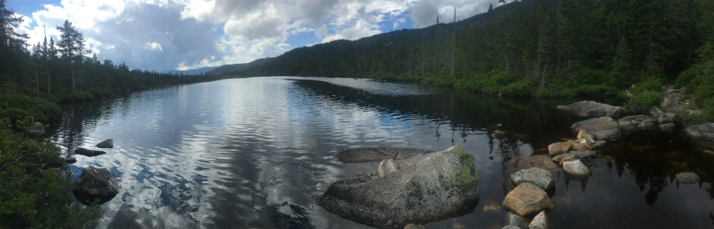 2016-07-17-Appalachian-Trail-491-pond-scenery.JPG