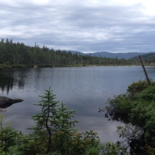 2016-07-18-Appalachian-Trail-497-Moose-in-Ethan-Pond.JPG