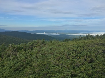 2016-07-25-Appalachian-Trail-526-scenery.JPG