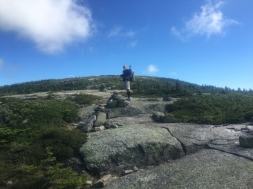 2016-07-30-Appalachian-Trail-547-GrandDaddyLongLegs.JPG
