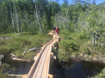 2016-08-02-Appalachian-Trail-568-JustGreg-GrandDaddyLongLegs-boardwalk-in-Maine.JPG