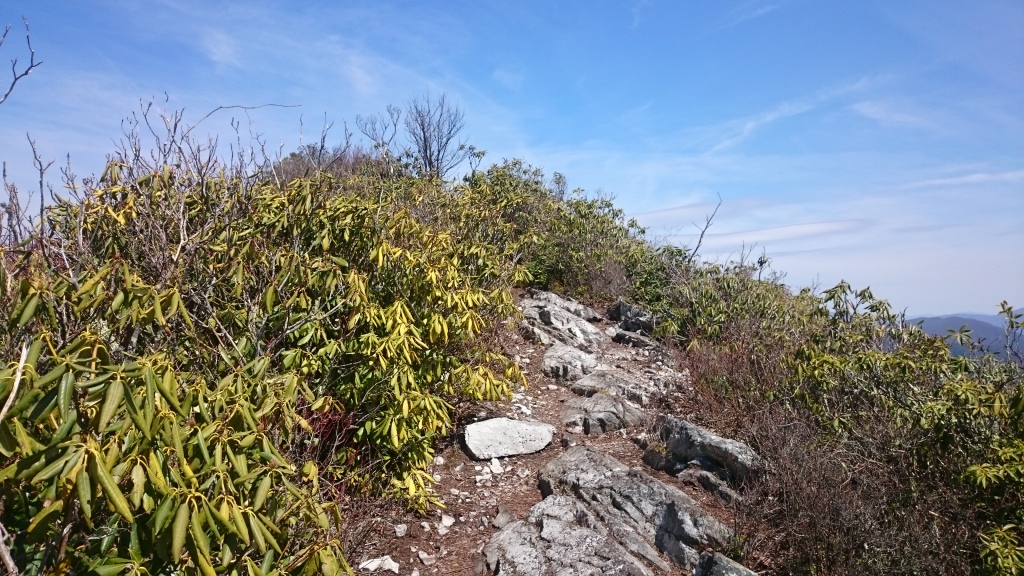 2016/03(March)/Garfield-2016-AT-Hike/04(April)/1024x768_DSC_0063.JPG