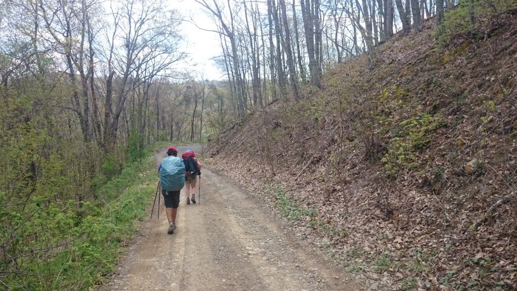 2016/03(March)/Garfield-2016-AT-Hike/04(April)/1024x768_DSC_0089.JPG