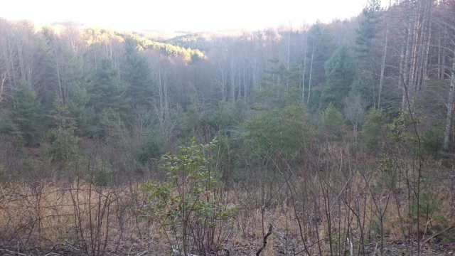 2016/03(March)/Garfield-2016-AT-Hike/04(April)/640x480_DSC_0075.JPG
