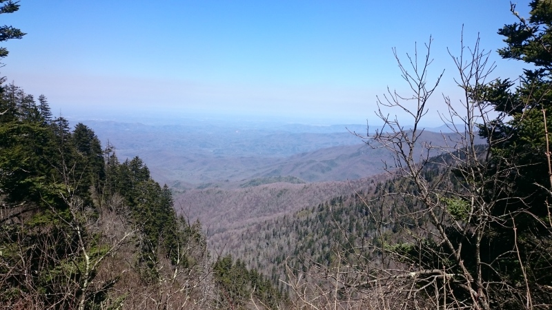 2016/03(March)/Garfield-2016-AT-Hike/04(April)/800x600_DSC_0056.JPG