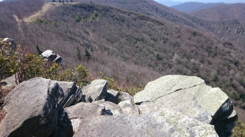 DSC_0062.JPG