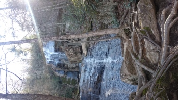 DSC_0073.JPG