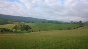 DSC_0094.JPG