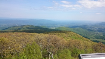 DSC_0107.JPG