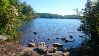 DSC_0124.JPG