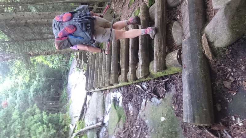 2016/03(March)/Garfield-2016-AT-Hike/07(July)/800x600_DSC_0169.JPG