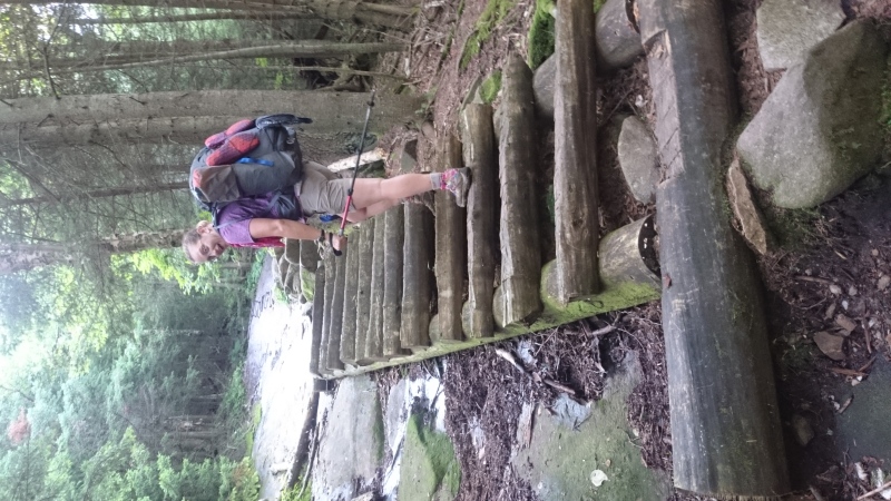 2016/03(March)/Garfield-2016-AT-Hike/07(July)/800x600_DSC_0170.JPG
