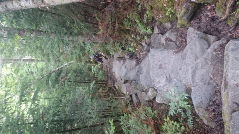 2016/03(March)/Garfield-2016-AT-Hike/07(July)/800x600_DSC_0180.JPG