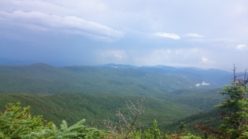DSC_0194.JPG