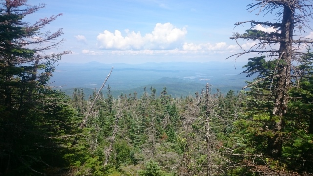 2016/03(March)/Garfield-2016-AT-Hike/08(August)/640x480_DSC_0236.JPG