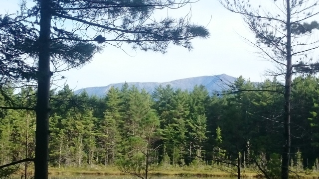 2016/03(March)/Garfield-2016-AT-Hike/08(August)/640x480_DSC_0295.JPG