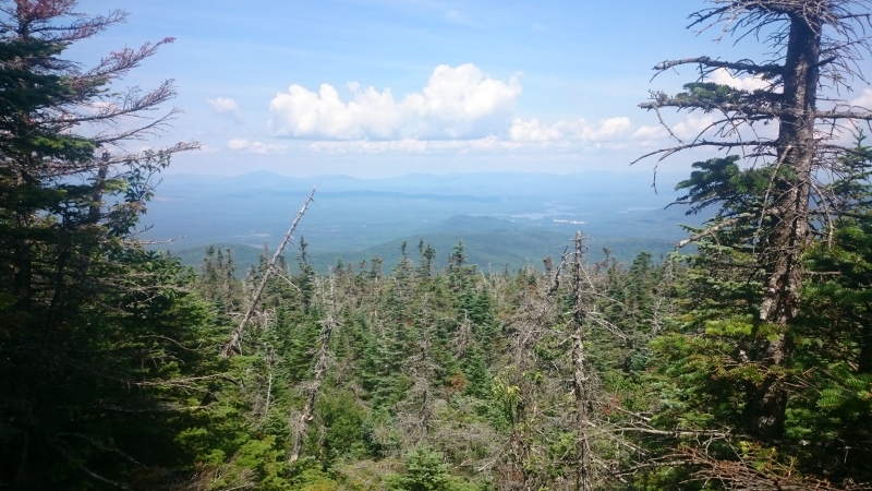 2016/03(March)/Garfield-2016-AT-Hike/08(August)/800x600_DSC_0236.JPG