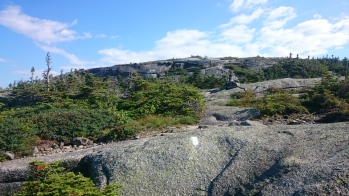 DSC_0228.JPG