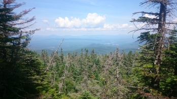 DSC_0236.JPG