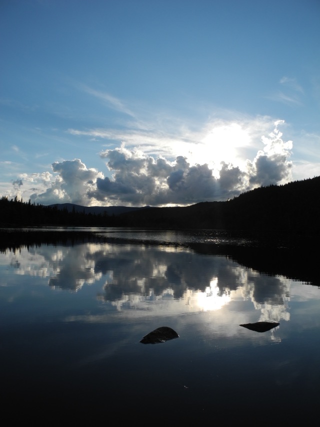 DSCN9687.jpg