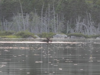 DSCN9690.jpg