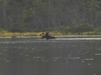 DSCN9697.jpg