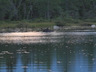 DSCN9712.jpg