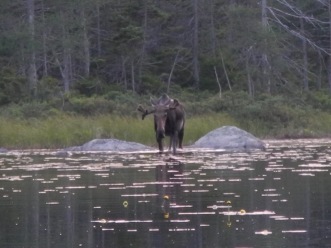 DSCN9757.jpg