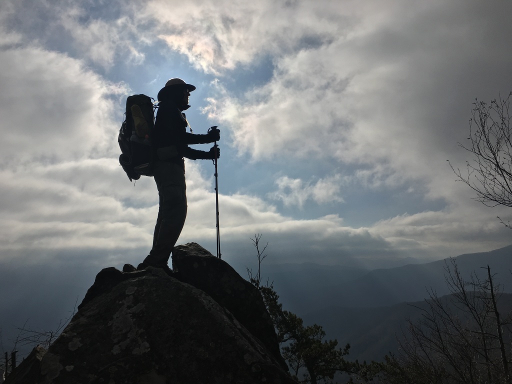2016/BEST-OF/1024x768_2016-04-05-Appalachian-Trail-076-Bevo-profile-on-rock-GOOD.JPG