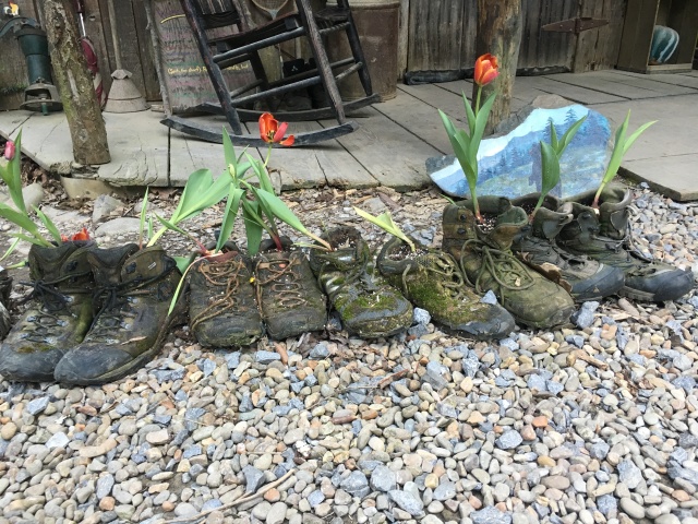 2016/BEST-OF/640x480_2016-04-05-Appalachian-Trail-080-Standing-Bear-boot-flower-pots-GOOD.JPG