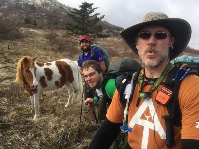 2016-04-23-Appalachian-Trail-145-ponies-with-SecretAgent-Garfield-Bevo-GOOD.JPG