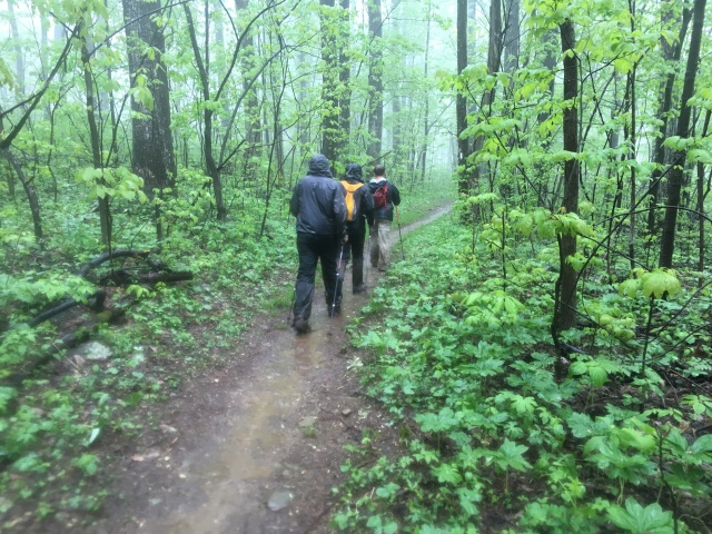 2016-05-22-Appalachian-Trail-233-Stitch-Garfield-SecretAgent-singing-in-the-rain-GOOD.JPG