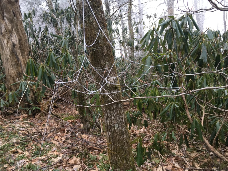 2016-04-05-Appalachian-Trail-072-frozen-spiderweb-GOOD.JPG