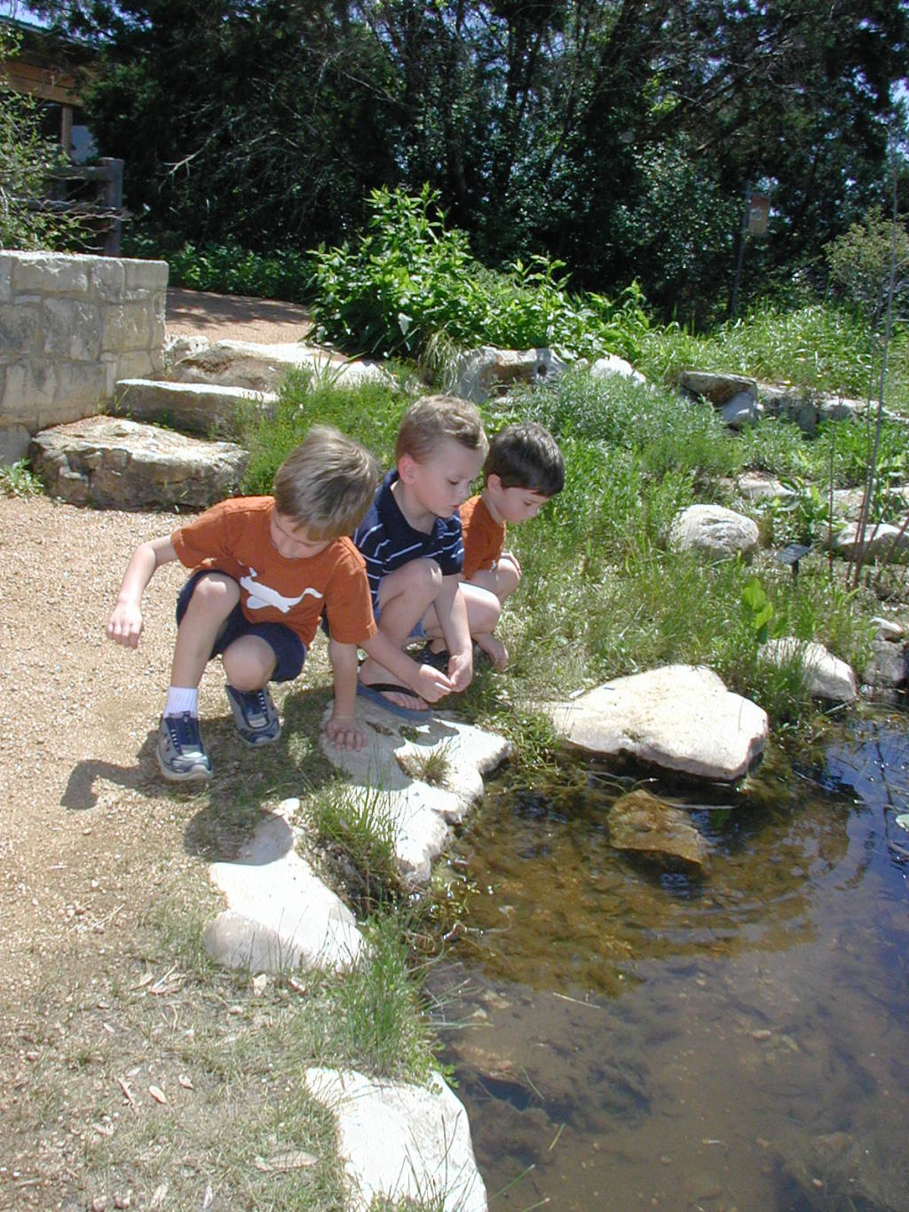 2016/Dax/1024x768_2004-04-01-wildflower-center-11-Chance-Vale-Dax.JPG