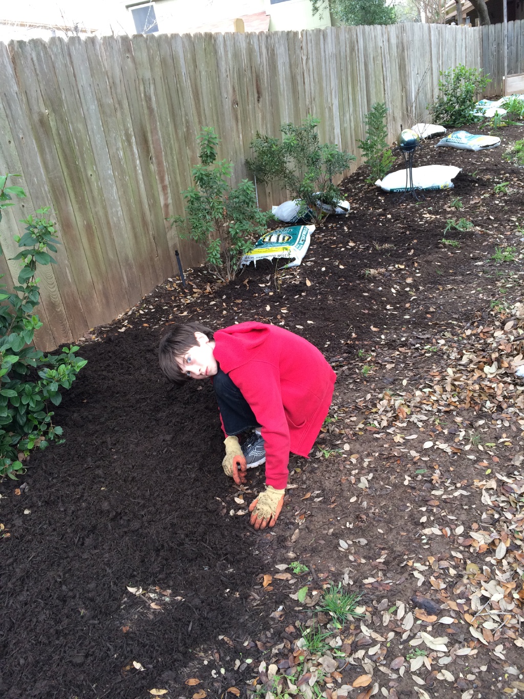2016/Dax/1024x768_2015-03-07-Troop-214-Mulch-11-Dax.JPG