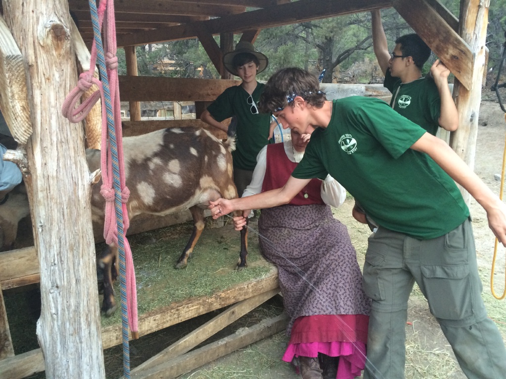 2015-07-01-Philmont-5star-023-New-Abreau-goat-milking-Dax-Chance-Sebastian.jpg