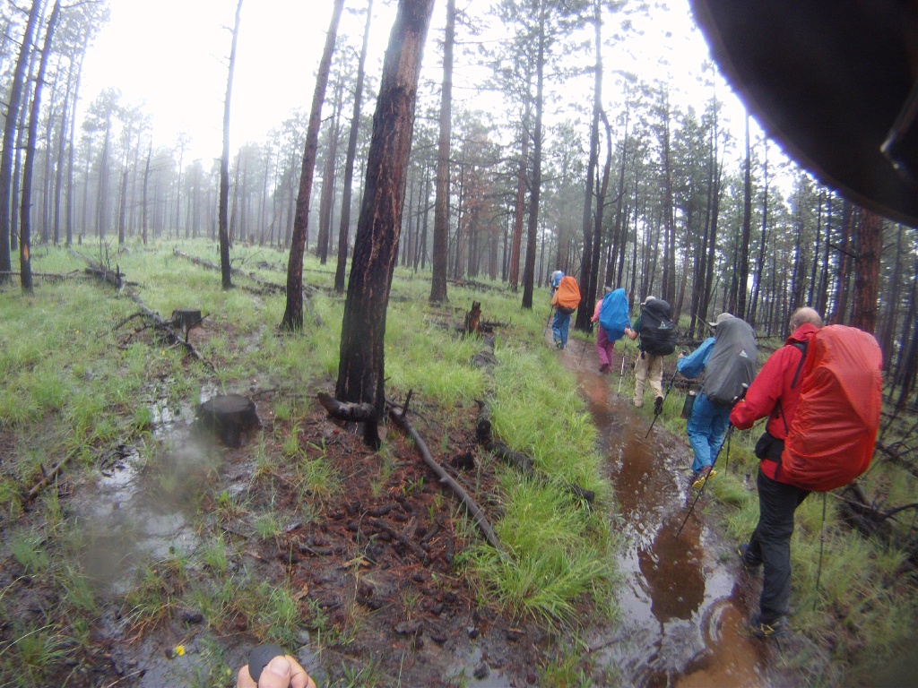 2015-07-07-Philmont-5star-003-Landscape-Dax-Rhys-Will-Becky-Ron.jpg