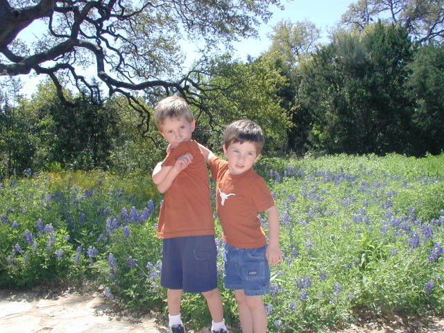2004-04-01-wildflower-center-06-Chance-Dax.JPG
