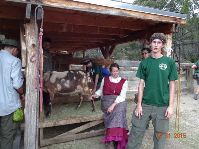 2015-07-01-Philmont-4star-17-New-Abreau-milking-goat-Chance-Sebastian-Dax.JPG